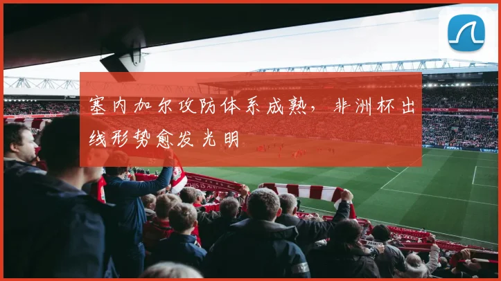 塞内加尔攻防体系成熟，非洲杯出线形势愈发光明