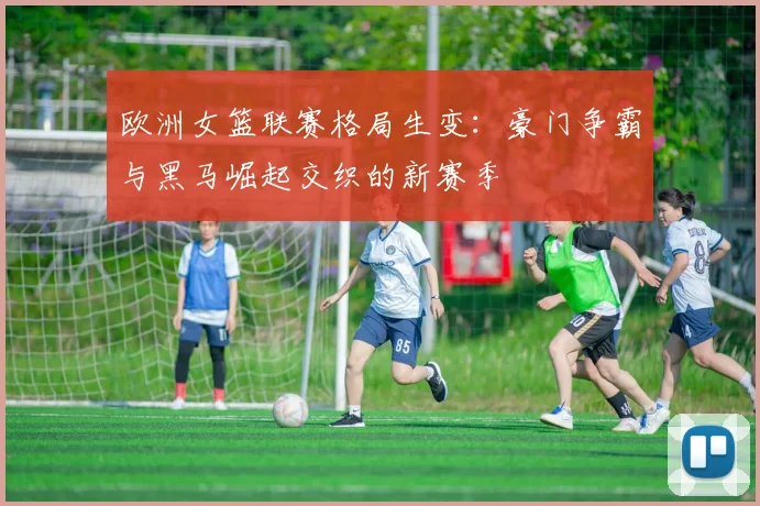 欧洲女篮联赛格局生变:豪门争霸与黑马崛起交织的新赛季
