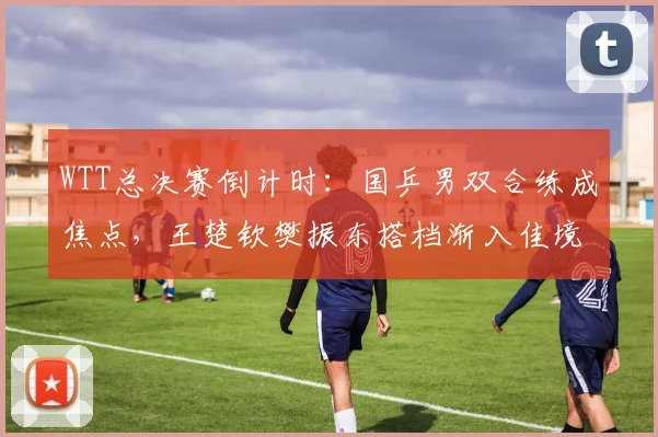 WTT总决赛倒计时：国乒男双合练成焦点，王楚钦樊振东搭档渐入佳境